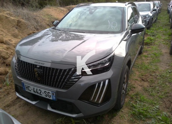 PEUGEOT 2008 ELECTRIQUEPEUGEOT 2008 ELECTRIQUE : image 1