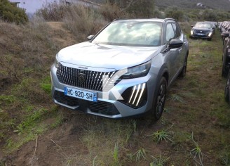 Photo du véhicule PEUGEOT 2008 ELECTRIQUE