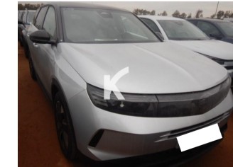 Photo du véhicule OPEL GRANDLAND