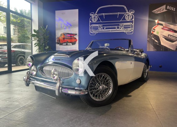 AUSTIN HEALEY BJ7AUSTIN HEALEY BJ7 : image 1