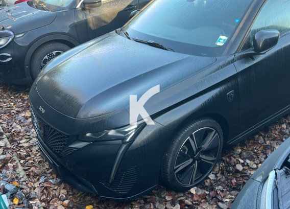 PEUGEOT 308 SWPEUGEOT 308 SW : image 1